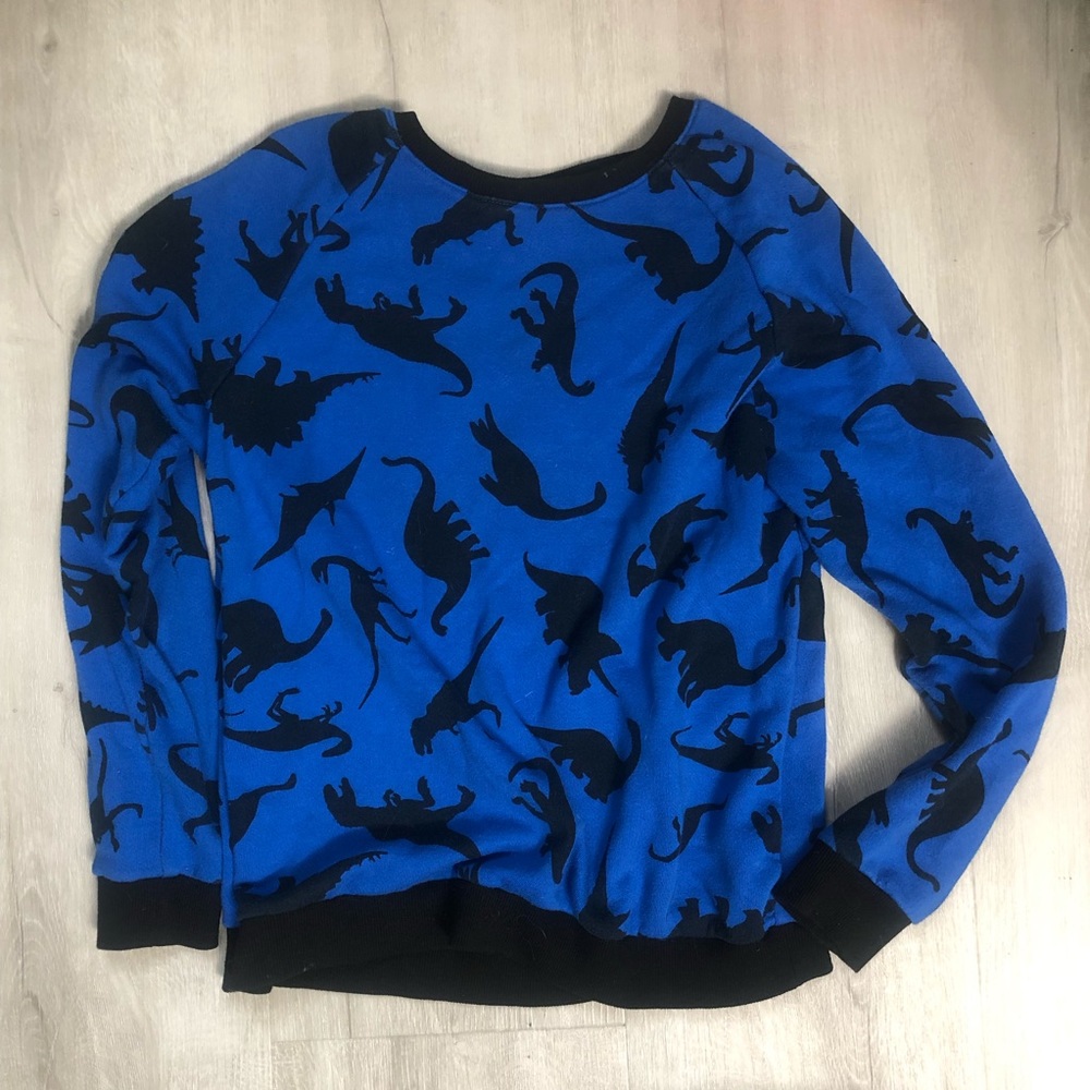Rare Dino sweater